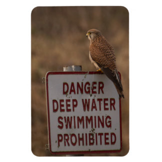 Imán Kestrel