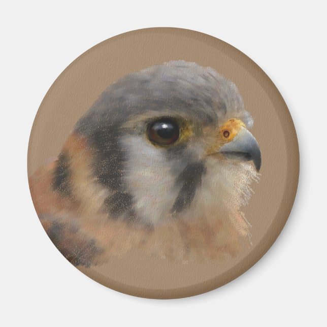 Imán Kestrel americano (Frente)