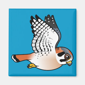Imán Kestrel americano en vuelo