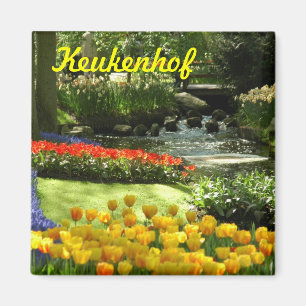 Imán Keukenhof