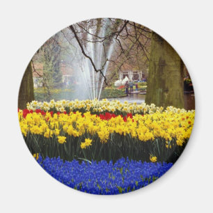 Imán Keukenhof amarillo cultiva un huerto, Amsterdam,
