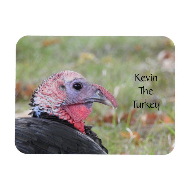 Imán Kevin The Turkey - Old Wethersfield , CT (Horizontal)