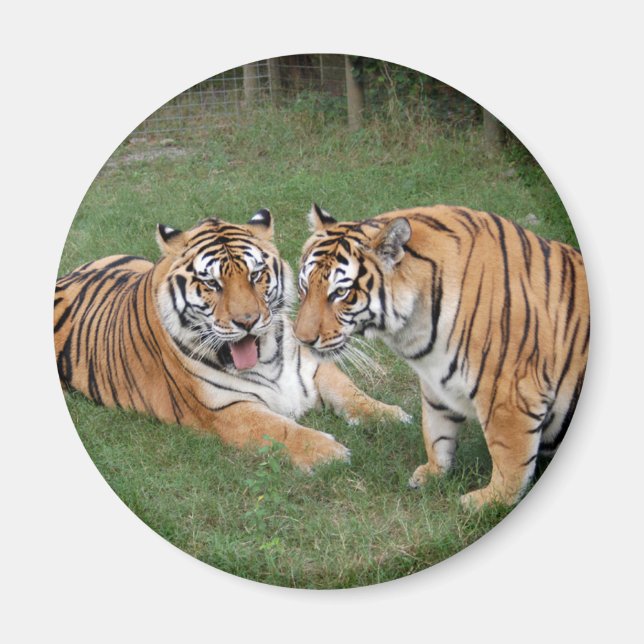 Imán khan-n-china009 (Frente)