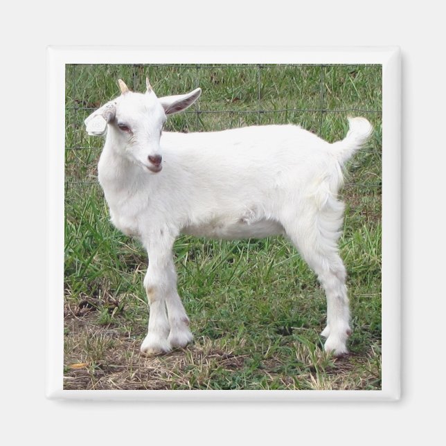 Imán "kid" Magnet (Frente)