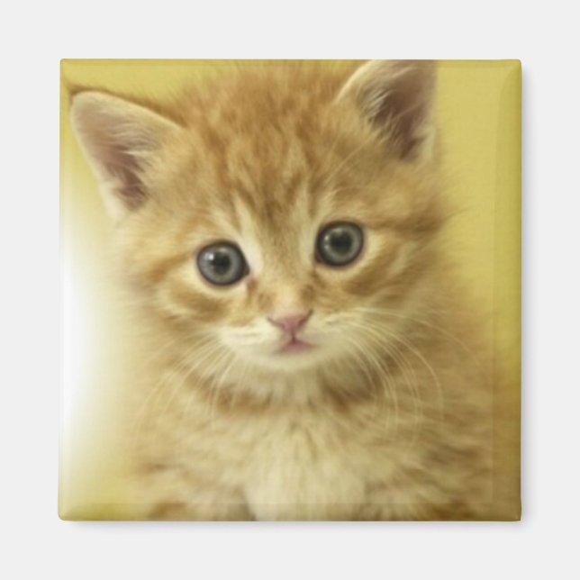 Imán Kiity (Frente)