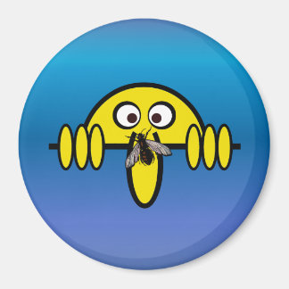 Imán Kilroy Fly on Nose