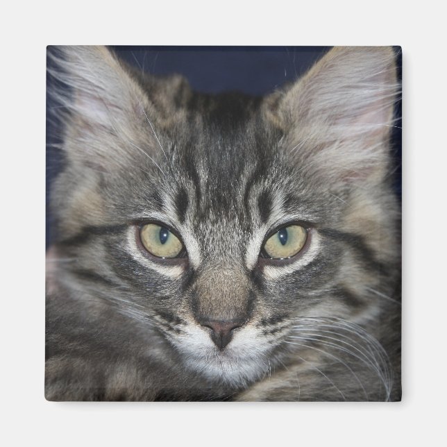 Imán Kimber Handsome Magnet (Frente)