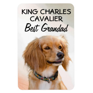 Imán King Charles Cavalier Mejor Grandad Magnet