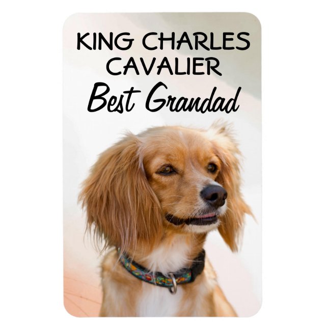 Imán King Charles Cavalier Mejor Grandad Magnet (Vertical)