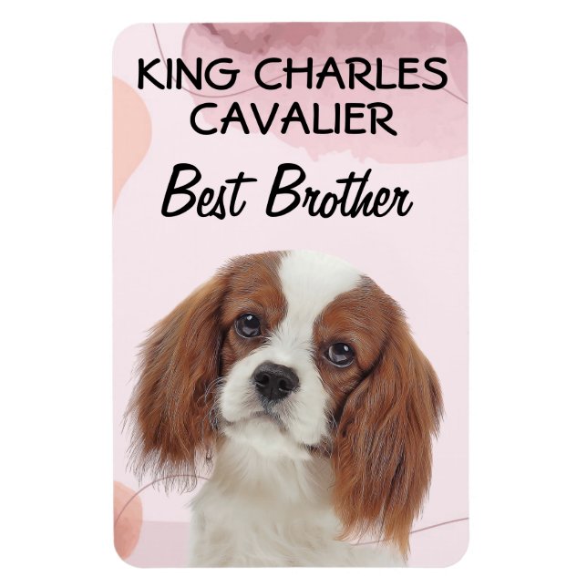 Imán King Charles Cavalier Mejor Hermano (Vertical)