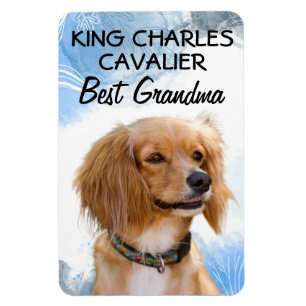 Imán King Charles Cavalier Mejor Magnet de Abuela