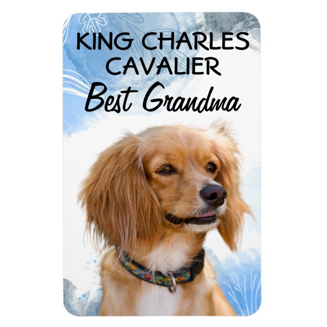 Imán King Charles Cavalier Mejor Magnet de Abuela (Vertical)