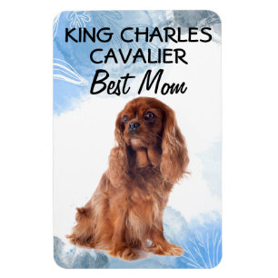 Imán King Charles Cavalier Mejor Mamá