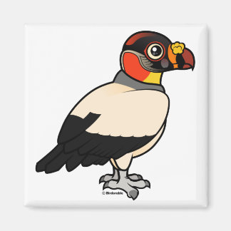 Imán King Vulture