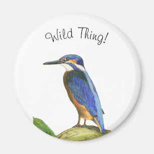 Imán Kingfisher
