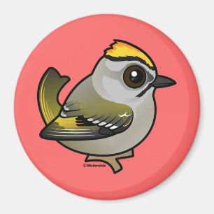 Imán Kinglet de corona dorada