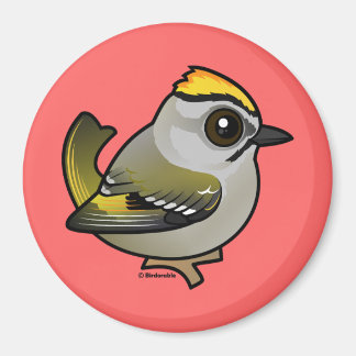 Imán Kinglet de corona dorada