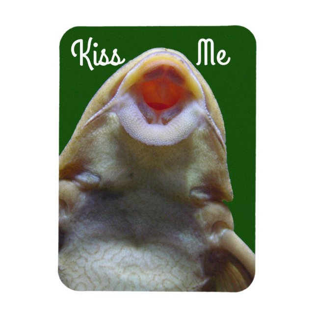 Imán Kiss Me Fish (Vertical)