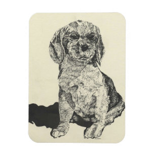 Imán Kitchen Magnet, Cocker Spaniel