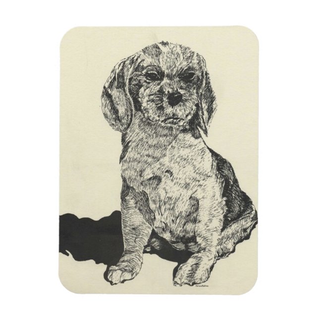 Imán Kitchen Magnet, Cocker Spaniel (Vertical)