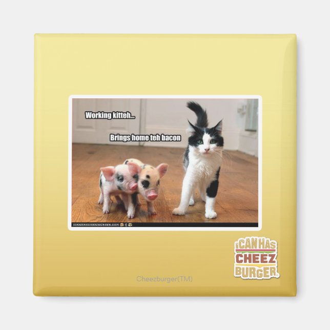 Imán Kitteh de trabajo (Frente)