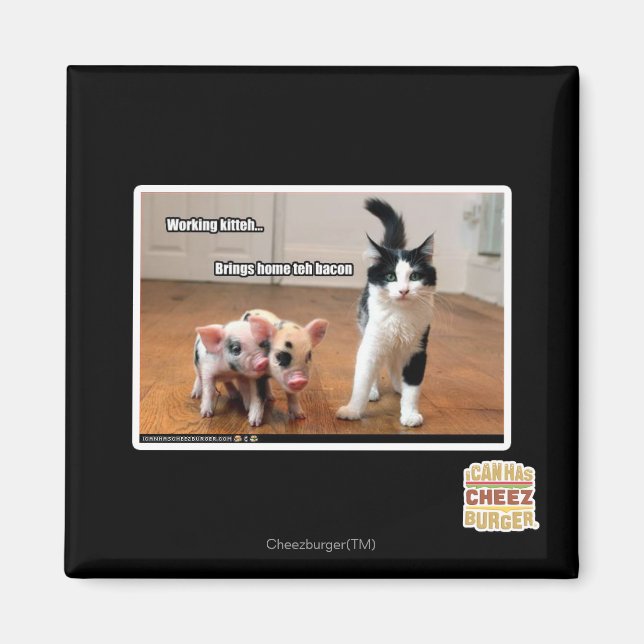 Imán Kitteh de trabajo (Frente)