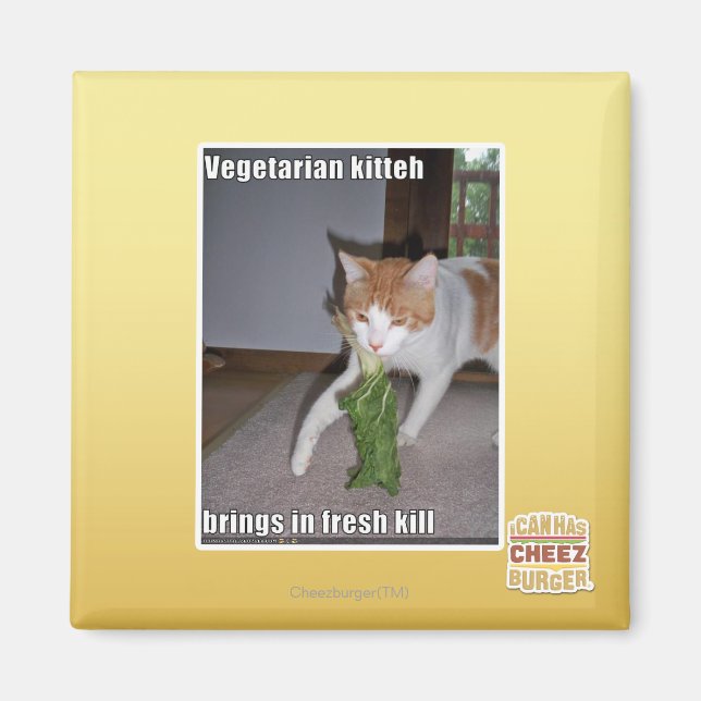 Imán Kitteh vegetariana (Frente)