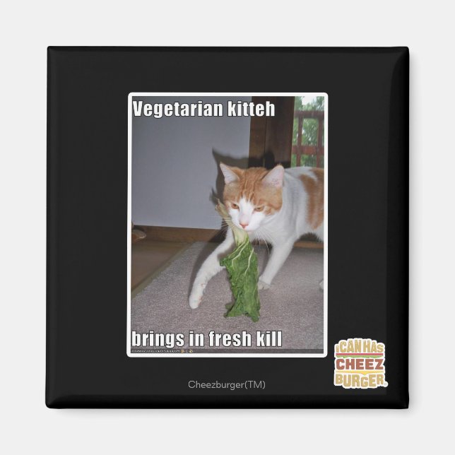 Imán Kitteh vegetariana (Frente)