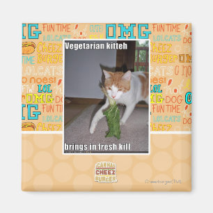 Imán Kitteh vegetariano