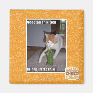 Imán Kitteh vegetariano