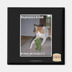 Imán Kitteh vegetariano