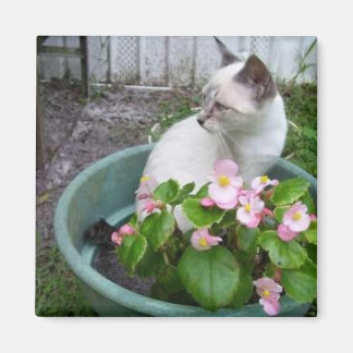 Imán Kittie y Flower Pot