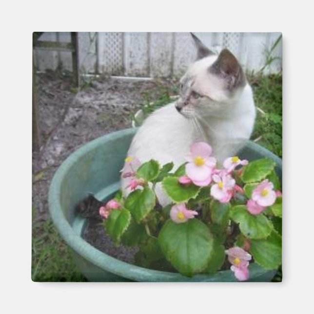 Imán Kittie y Flower Pot (Frente)