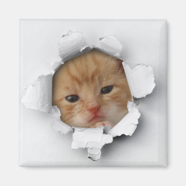 Imán Kitty (Frente)