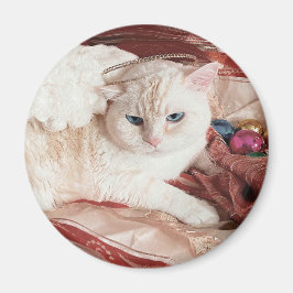 Imán Kitty Angel para Navidad