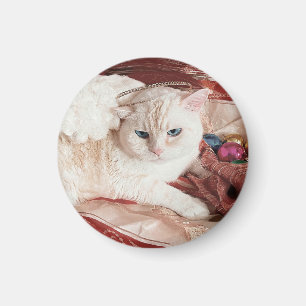 Imán Kitty Angel para Navidad