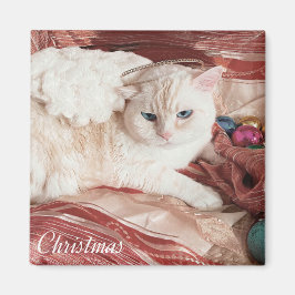 Imán Kitty Angel para Navidad