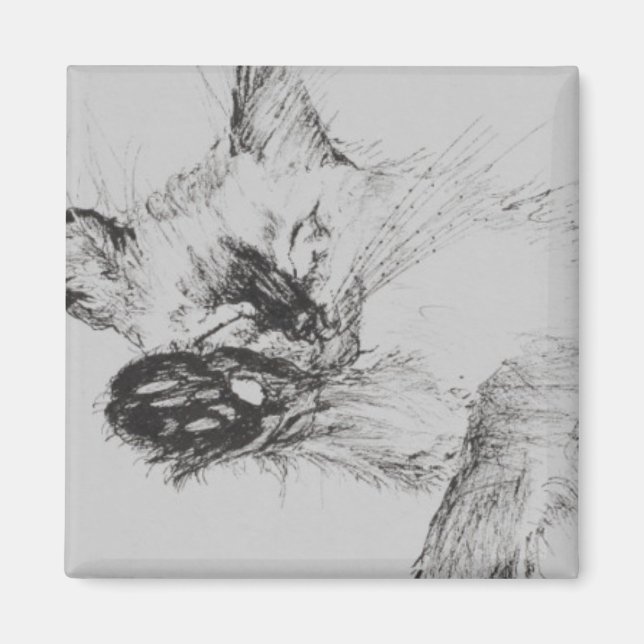 Imán Kitty "Baby" (Frente)