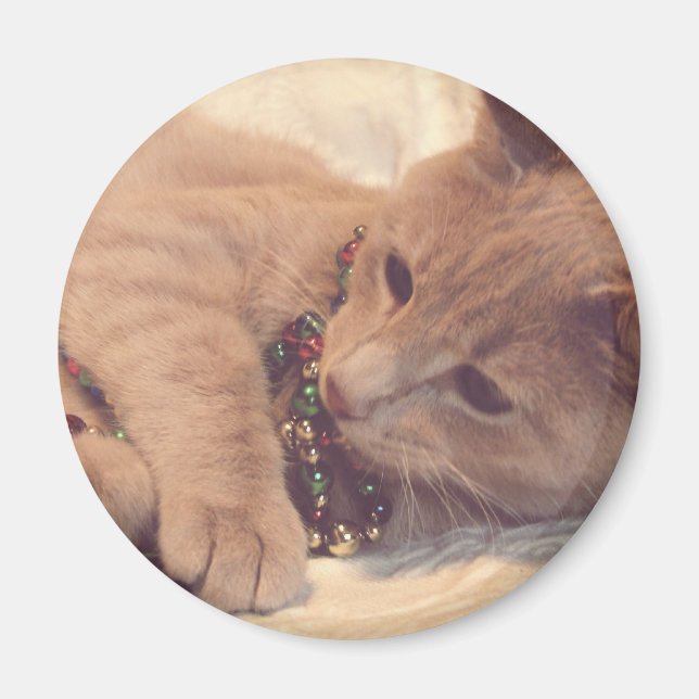 Imán Kitty de Navidad vintage (Frente)