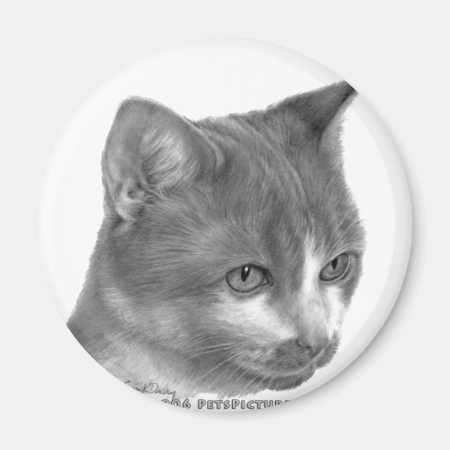 Imán Kitty, gato tabby (Frente)
