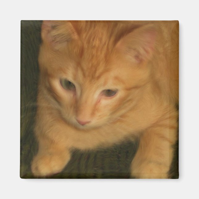 Imán Kitty Magnet (Frente)