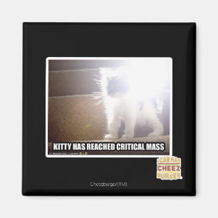 Imán Kitty Masa Crítica
