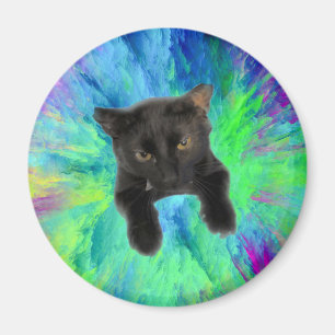Imán Kitty para sujetar papeles a la nevera