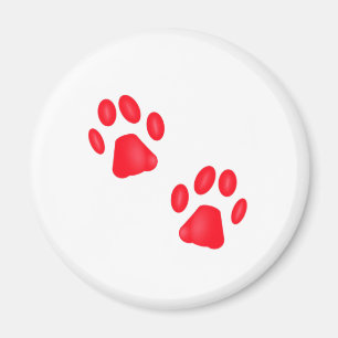 imán Kitty Paws
