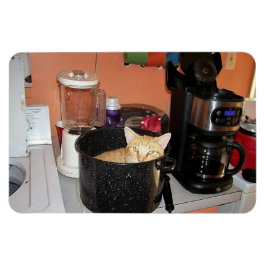 Imán Kitty Stew