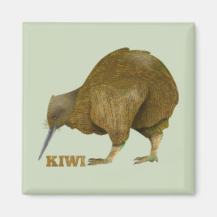 Imán Kiwi N.Z. Bird