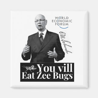 Imán Klaus Schwab Magnet