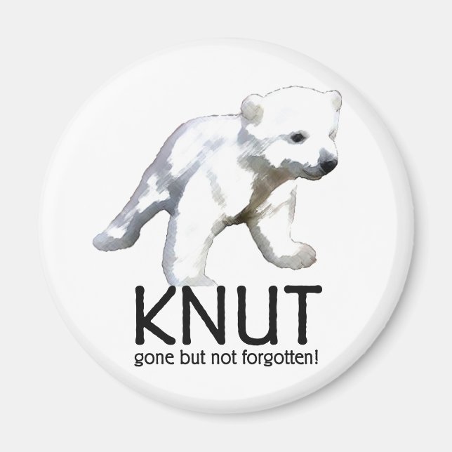 Imán Knut Polar Bear (Frente)
