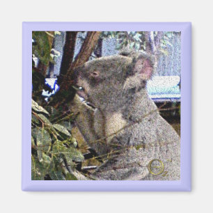 Imán Koala adorable