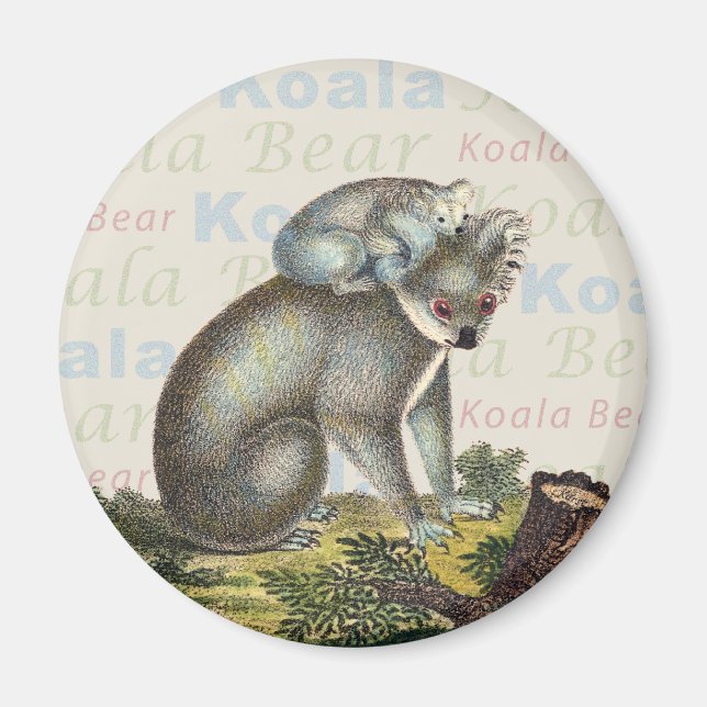 Imán Koala Bear Magnet (Frente)